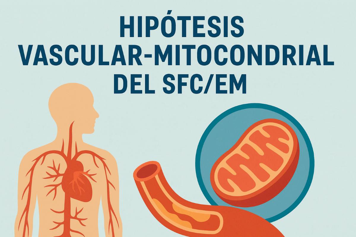La sangre que no fluye: hipótesis vascular y mitocondrial del SFC/em