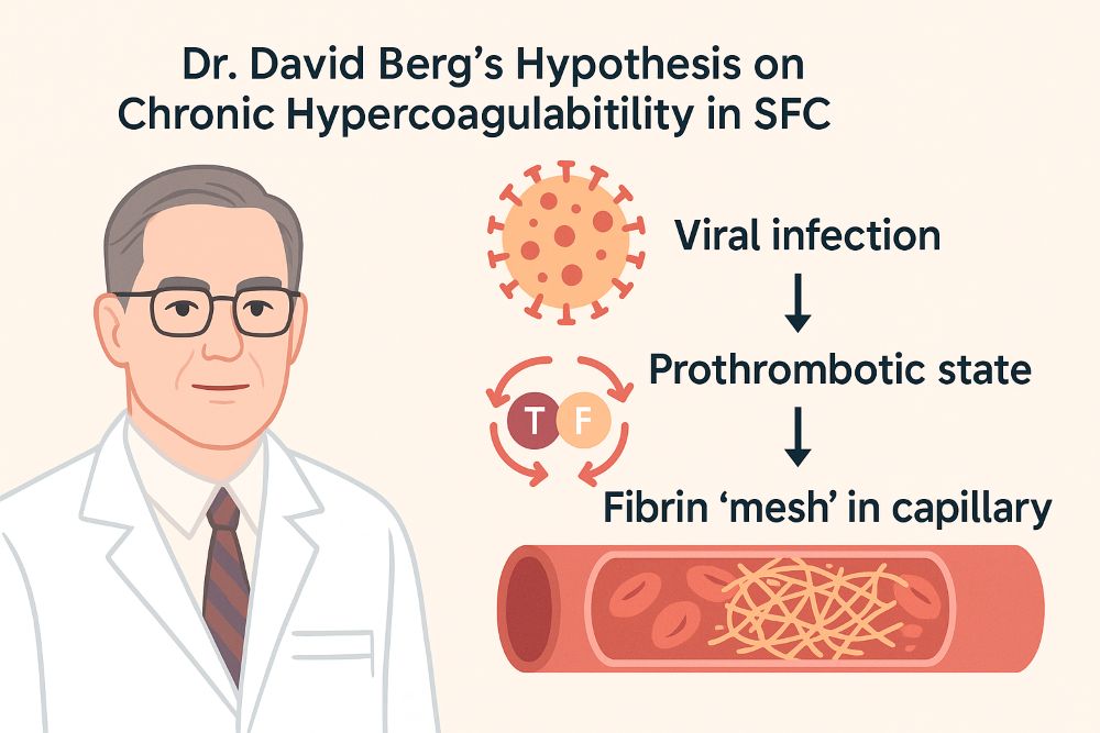 La teoría de hipercoagulabilidad crónica del Dr. David Berg propuso en los años 90 que infecciones virales persistentes podían desencadenar microtrombosis capilar, dificultando la oxigenación tisular. 