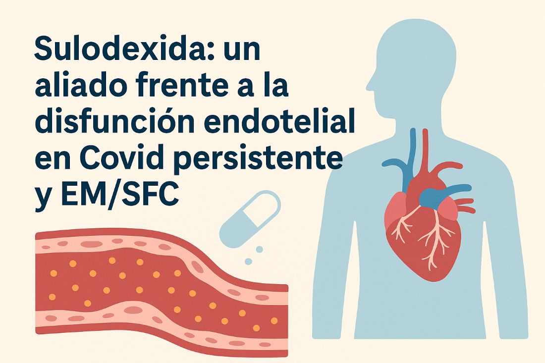 La Sulodexida es un fármaco con efectos antitrombóticos, profibrinolíticos y protectores del endotelio. Su uso en Covid persistente y EM/SFC busca restaurar la función vascular y reducir la formación de microcoágulos, contribuyendo a la mejoría de síntomas como fatiga, disnea y palpitaciones.