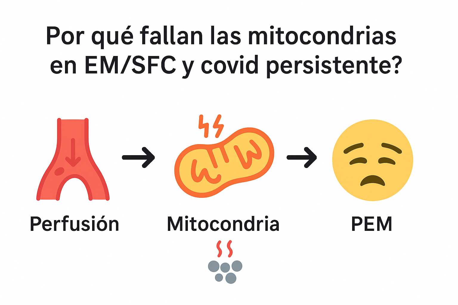 ¿Por qué fallan las mitocondrias en EM/SFC y covid persistente?