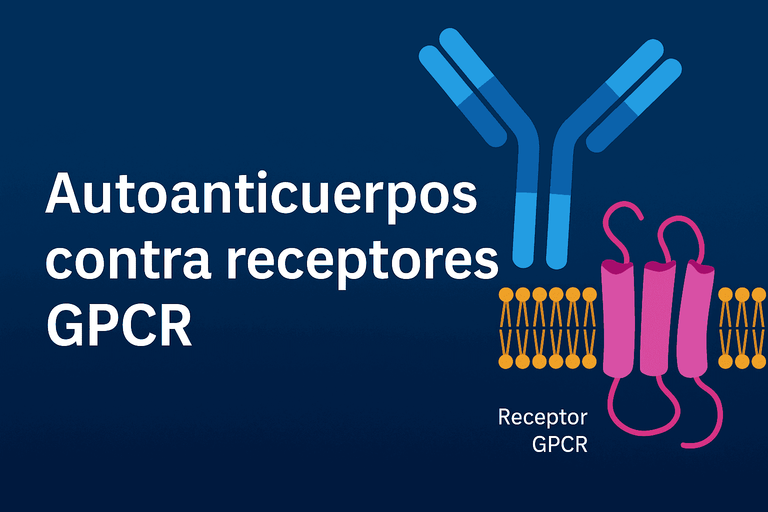 Autoanticuerpos funcionales en EM/SFC y COVID persistente