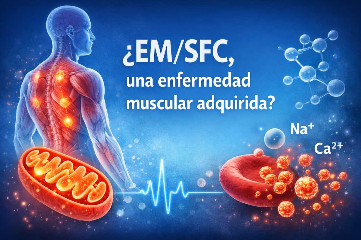 ¿Puede la EM/SFC ser una enfermedad muscular?