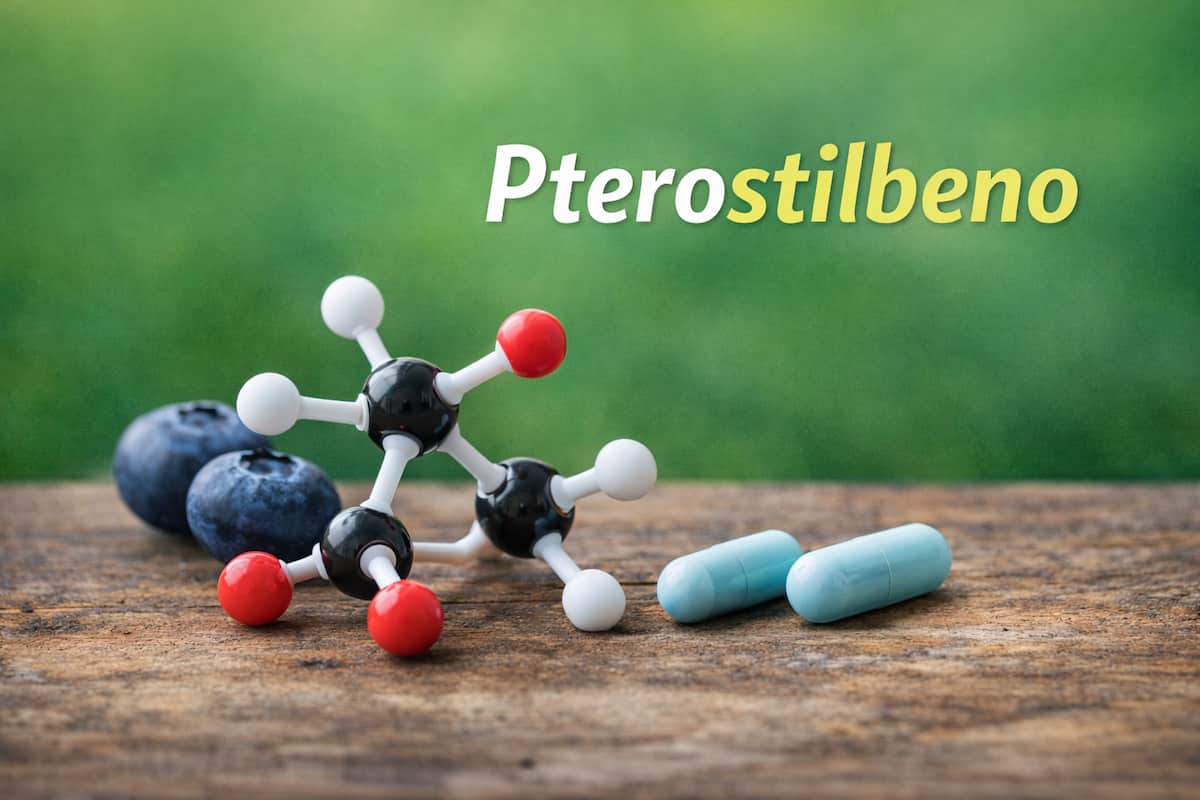 Pterostilbeno: qué es, cómo actúa y qué dicen los estudios