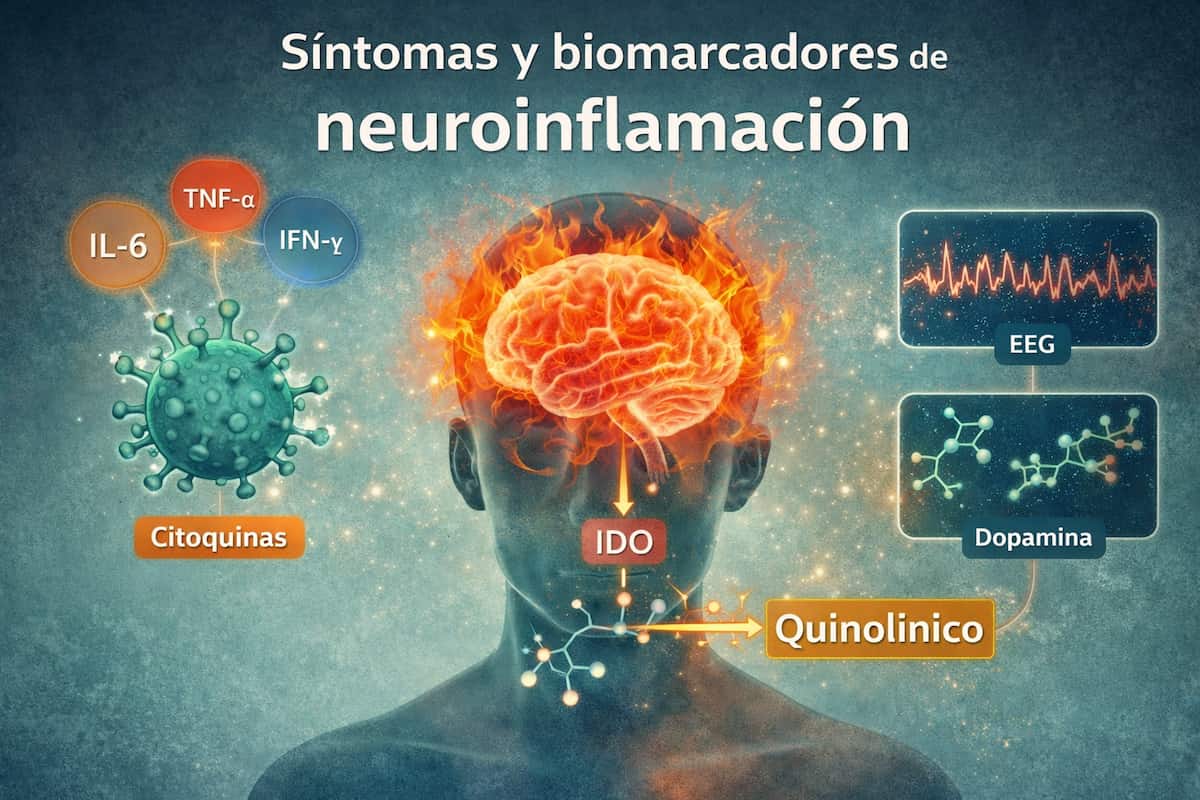 Neuroinflamación: síntomas, biomarcadores y relación con la depresión