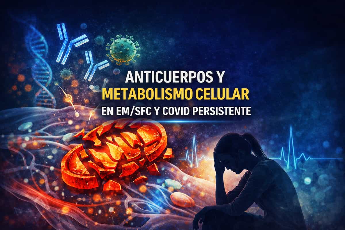 los anticuerpos pueden alterar el metabolismo celular en la EM/SFC y Covid Persistente