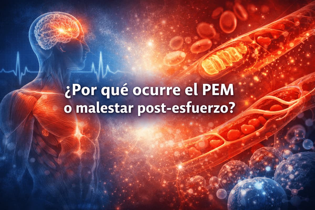 ¿Por qué ocurre el PEM o malestar post-esfuerzo en EM/SFC y Covid Persistente?