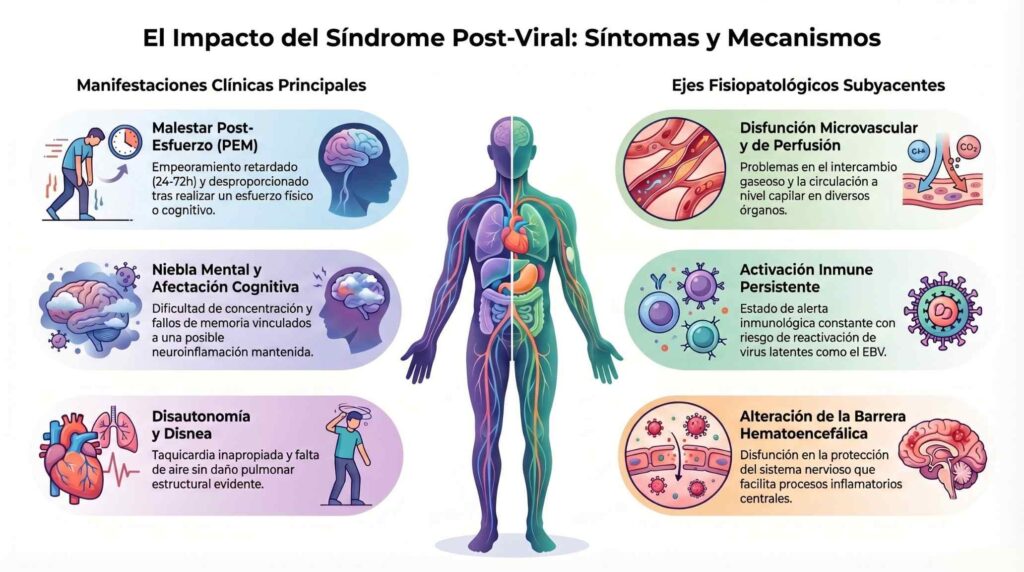 Síntomas Covid Persistente