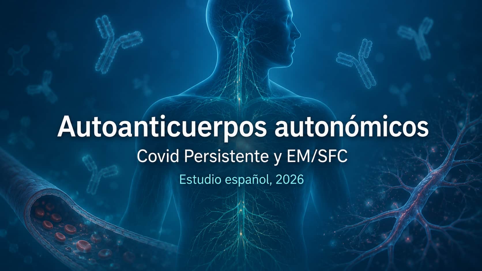 Un estudio español de 2026 vincula autoanticuerpos autonómicos con Covid Persistente