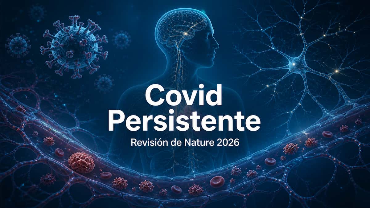 Covid Persistente: revisión de Nature integra inmunidad, virus, endotelio, microcoágulos y disautonomía