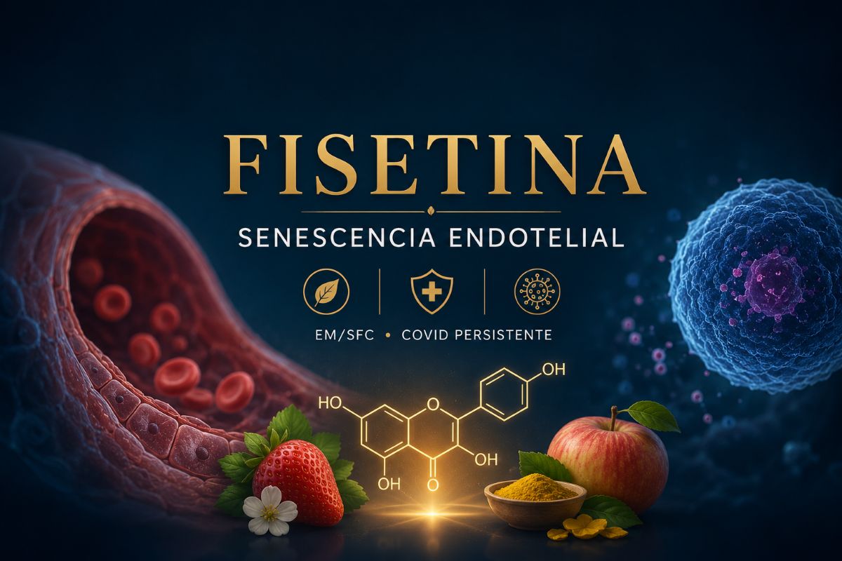 fisetina para combatir la senescencia endotelial