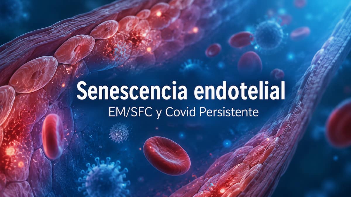 Senescencia endotelial inducida por virus: una nueva hipótesis para explicar el Covid Persistente y la EM/SFC