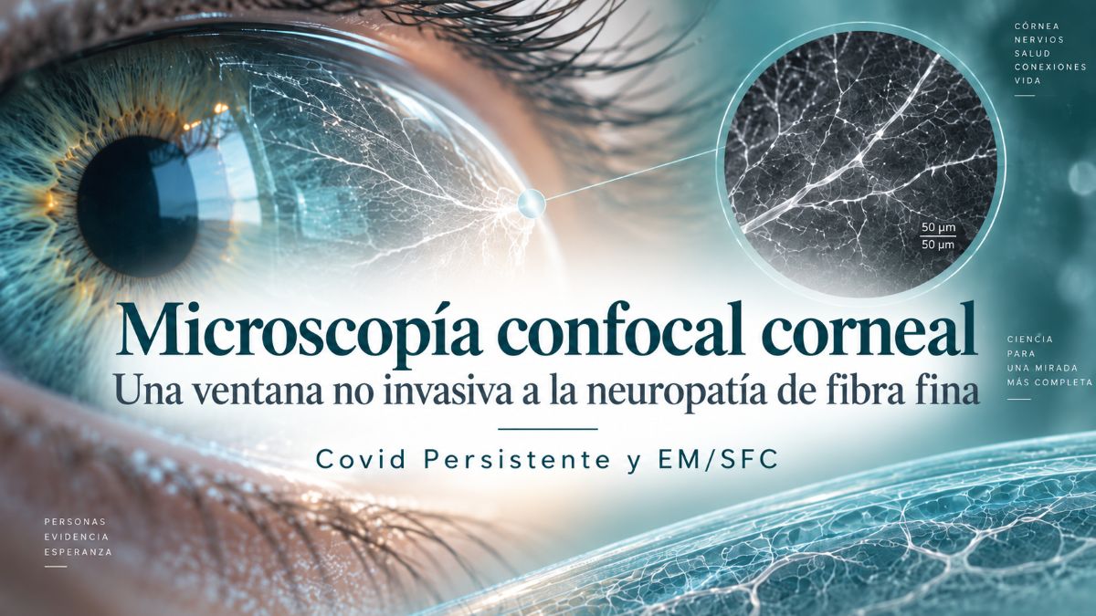 Microscopía confocal corneal: una ventana no invasiva a la neuropatía de fibra fina en Covid Persistente y EM/SFC